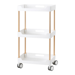 Kosmetický asistent 127